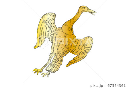 88星座影あり線なし金つる座 67524361