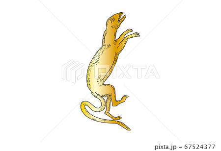 88星座影あり線なし金とかげ座 88星座影あり線なし金とかげ座 67524377