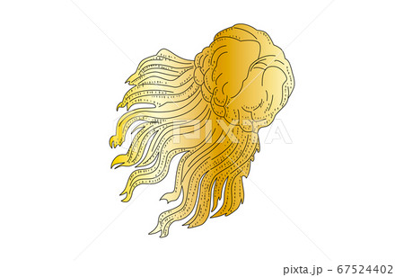 88星座影あり線なし金かみのけ座 67524402