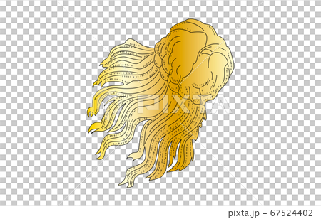 88星座影あり線なし金かみのけ座 67524402