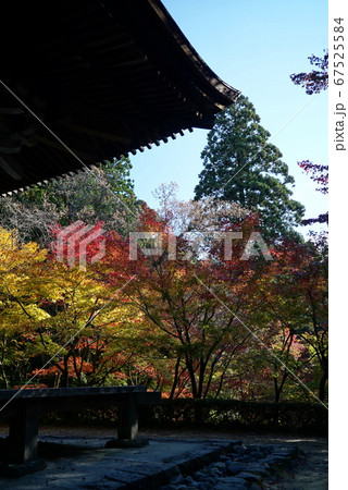 きれいな紅葉の金剛輪寺 きれいな紅葉の金剛輪寺 67525584