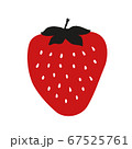 strawberry 67525761