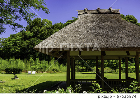 道後温泉　道後公園　湯築城跡　愛媛県松山市 67525874