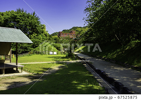 道後温泉　道後公園　湯築城跡　愛媛県松山市 67525875