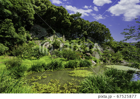 道後温泉　道後公園　湯築城跡　愛媛県松山市 67525877