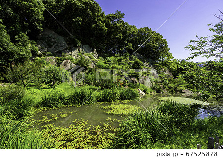 道後温泉　道後公園　湯築城跡　愛媛県松山市 67525878