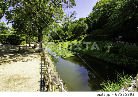 道後温泉　道後公園　湯築城跡　愛媛県松山市 67525893