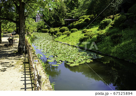 道後温泉　道後公園　湯築城跡　愛媛県松山市 67525894