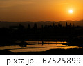 遠くに沈む夕日ち水田 67525899