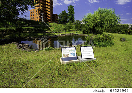 道後温泉　道後公園　湯築城跡　中世武家屋敷　愛媛県松山市 67525945