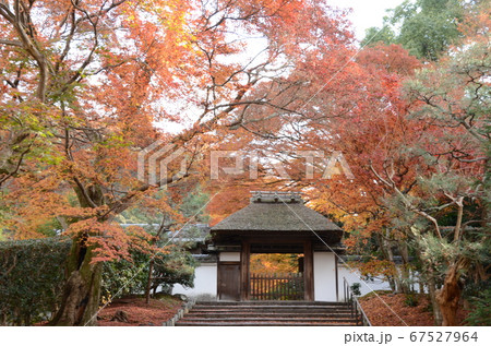 京都 安楽寺紅葉 京都 安楽寺紅葉 67527964