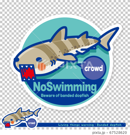 いきもの注意報：サメ（ドチザメ）遊泳禁止サイン（英語）のイラスト
