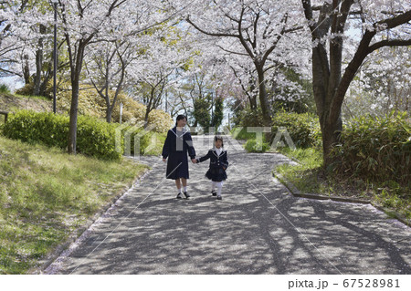 桜並木を歩く姉妹 桜並木を歩く姉妹 67528981