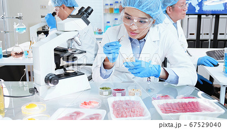 Food Safety Concept Food Safety Concept 67529040