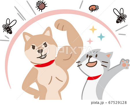 害虫を跳ね除ける犬と猫 67529128