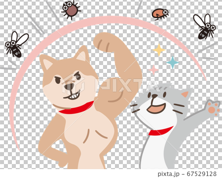 Dogs and cats that can get rid of pests 67529128