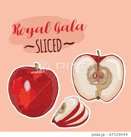 Hand Drawn Full Color Colorful Realistic Red Apple Royal Gala Fruit Sliced Set 67529544