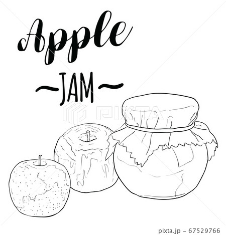 Hand Drawn Black and White Realistic Apple Jam Sweet Dessert Fruit 67529766