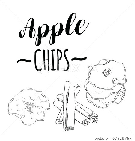 Hand Drawn Black and White Realistic Apple Chips Sweet Dessert Fruit with Cinnamon Rolls 67529767