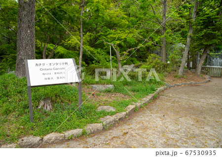 花博記念公園鶴見緑地 カナダオンタリオ州庭園跡 67530935