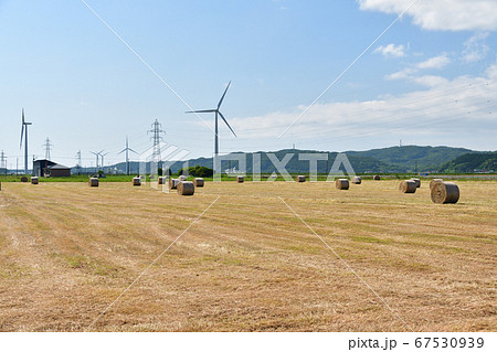 北海道江差町で牧草地に沢山の牧草ロールがある夏の風景を撮影 北海道江差町で牧草地に沢山の牧草ロールがある夏の風景を撮影 67530939