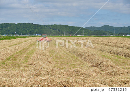 北海道江差町で牧草ロールの作成作業するトラクターの夏の風景を撮影 北海道江差町で牧草ロールの作成作業するトラクターの夏の風景を撮影 67531216