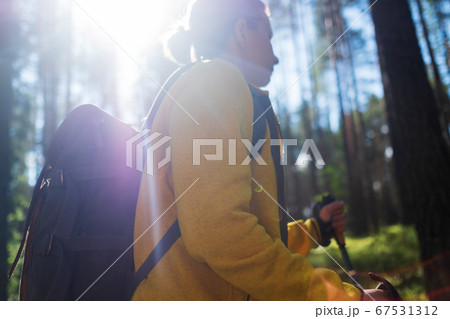 Walking in summer forest. Female tourist hiking alone. 67531312
