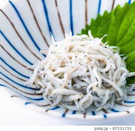 シラス シラス 67531733