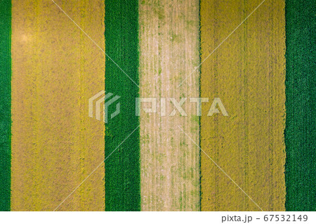 Aerial view of summer fields, harvest time, fields Aerial view of summer fields, harvest time, fields 67532149