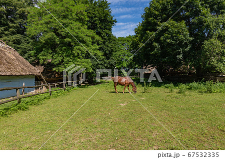 Traditional village in Poland. Open Air Museum. 67532335
