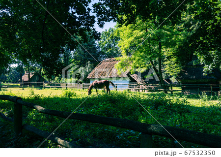 Traditional village in Poland. Open Air Museum. 67532350