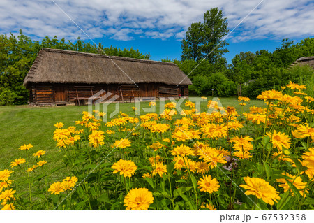 Traditional village in Poland. Open Air Museum. 67532358