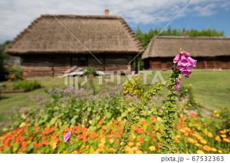 Traditional village in Poland. Open Air Museum. 67532363