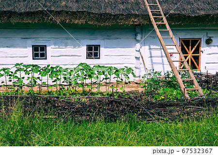 Traditional village in Poland. Open Air Museum. 67532367