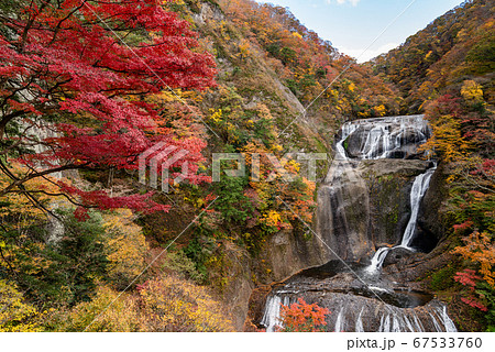 (茨城県)袋田の滝 紅葉 (茨城県)袋田の滝 紅葉 67533760