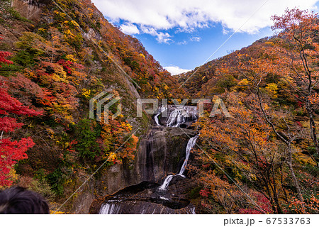 茨城県 袋田の滝 紅葉の写真素材