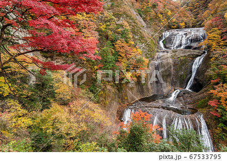 茨城県 袋田の滝 紅葉の写真素材