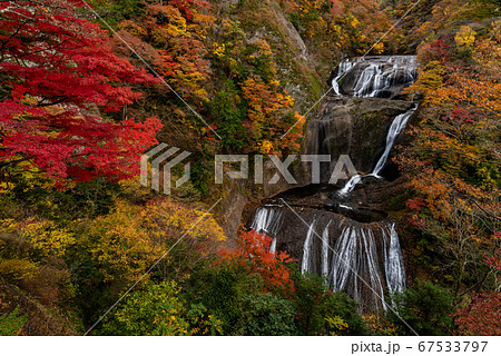 茨城県 袋田の滝 紅葉の写真素材