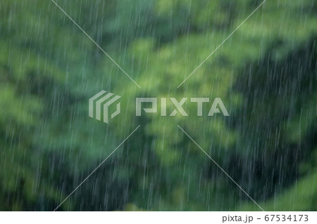 梅雨時期の大雨と森の風景 67534173