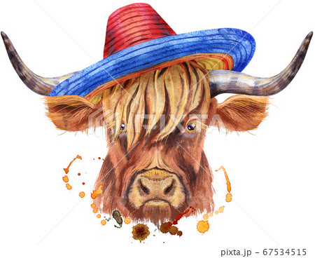 Watercolor illustration of a brown long-horned bull bull in a sombrero hat 67534515