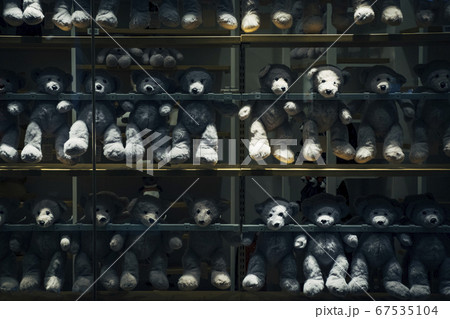 grey teddy bear display on shelves in the retail store 67535104