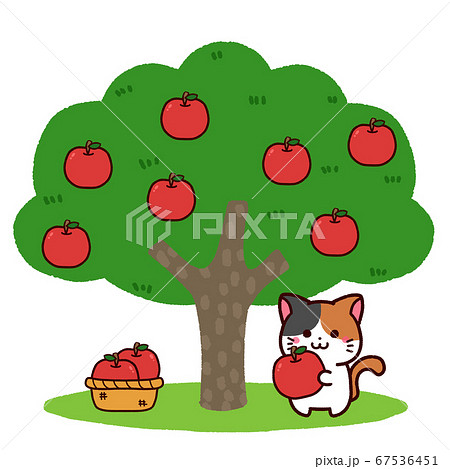 リンゴ狩りをする三毛猫ちゃんのイラスト素材