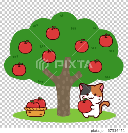 リンゴ狩りをする三毛猫ちゃんのイラスト素材