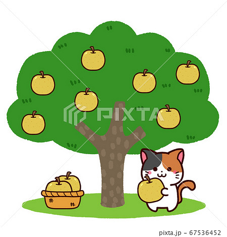 緑の木と三毛猫さん 緑の木と三毛猫さん