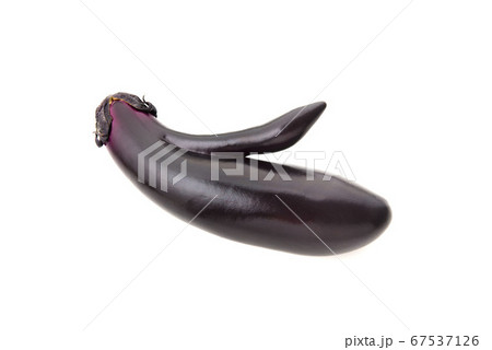 奇形、変形の茄子 奇形、変形の茄子 67537126