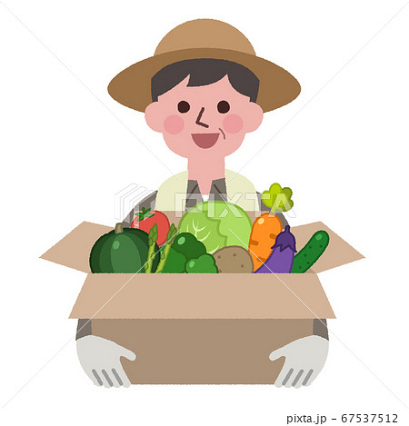野菜が入った段ボールを持つ農家のイラスト素材