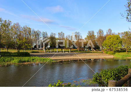 別府沼公園 別府沼公園 67538556