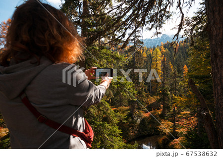 Beautiful autumn pine forest 67538632