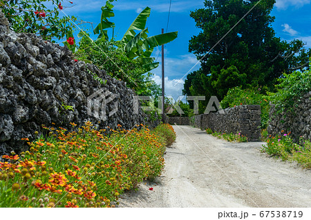 Dusty street at Taketomi Island, Okinawa, Japan Dusty street at Taketomi Island, Okinawa, Japan 67538719