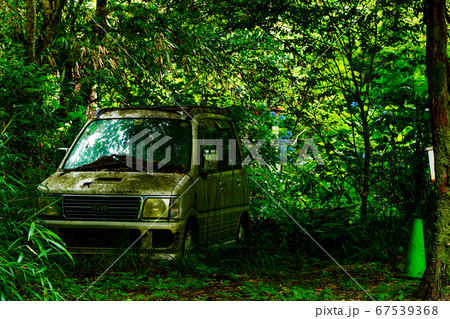 森の中の廃車 67539368